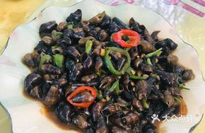 Spicy Mountain Snail