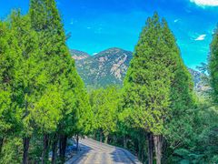 -禅宗少林·音乐大典