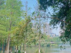 -重庆彩云湖湿地公园