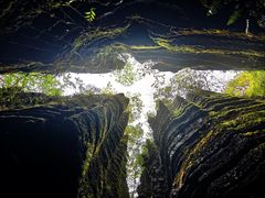 -梭布垭石林景区