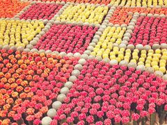 -南通洲际绿博园