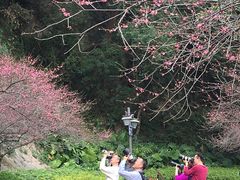 -乌山风景区