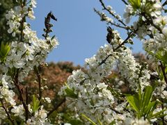 -风云岭森林公园