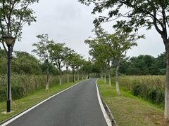 -金银湖国家城市湿地公园