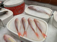 -闽南厝·闽南菜(福隆店)