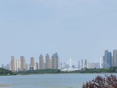 -月湖风景区