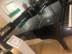 -柏斯琴行(汾阳店)