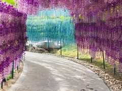 -郑州银基黄帝宫御温泉