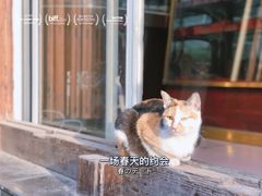 -川沙古镇-停车场