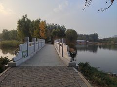 -大兴滨河森林公园