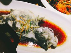 -兴圆苑