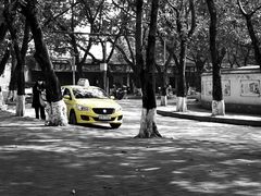 -春涛餐馆(下坝店)