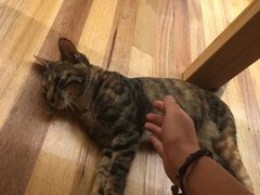 -猫的天空之城概念书店(杭州南宋御街店)