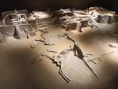 -洛阳周王城天子驾六博物馆