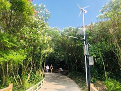 -上海吴淞炮台湾国家湿地公园