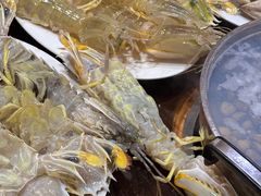 -凯华海鲜火锅·传承三十六年