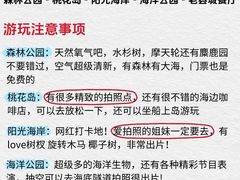 -日照灯塔风景区