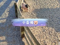 -前小桔亲子创意农场·草莓采摘·露营烧烤
