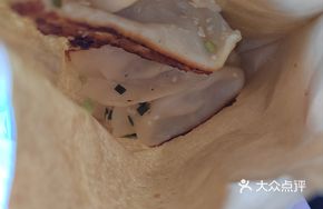 Fresh Pork Pan-Fried Dumplings
