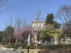 -张鲫鱼家常菜