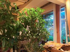 -慢丽江·云南野生菌土鸡锅(付家庄店)