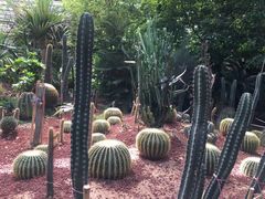 -北京呀路古热带植物园