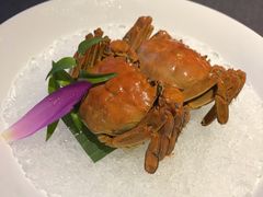 -福玺荟(外滩罗斯福店)