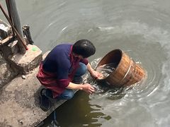 -渝都天星老街豆花