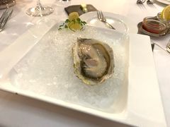-Ambrosia Oyster Bar & Grill