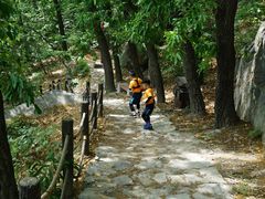 -阳台山自然风景区