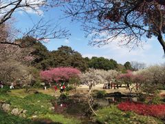 -杭州植物园