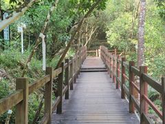 -广州白江湖森林公园