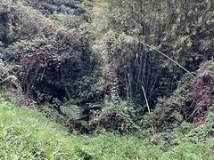 -火炉山森林公园