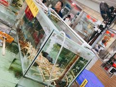 -寻味顺德·南记酒家·传统顺德菜·鱼生(广源路店)