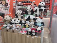 -熊猫邮局(少城店)