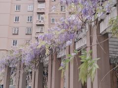 -梦都海鲜酒家(万达广场江桥店)