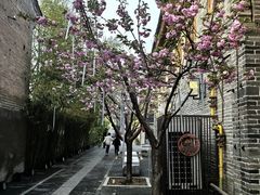 -韩城古城