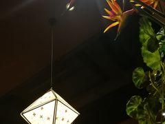 大堂-云海肴·汽锅鸡·云南菜(天津国金汇店)