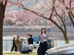 -西北湖绿化广场
