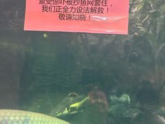 -青青世界