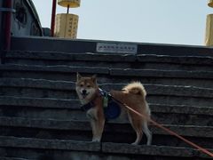 -中国翰园碑林