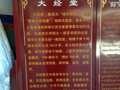 -塔尔寺菩提树