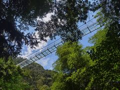 -藏龙百瀑风景区