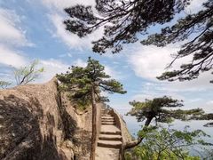 -黄山风景区