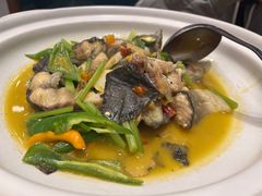 -饭怕鱼(阳光100店)