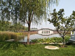 -西海子公园