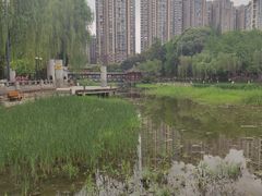 -温江公园