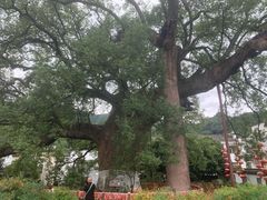 -新安江山水画廊风景区