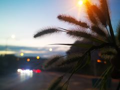 -新碧水留香新桑拿