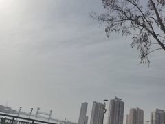 -海河外滩公园